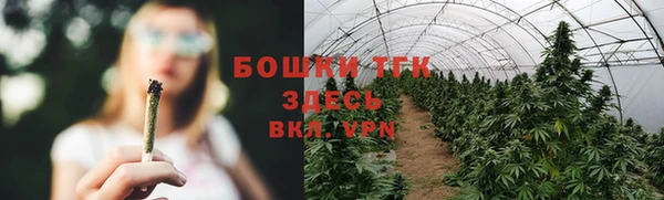 хмурый Горняк