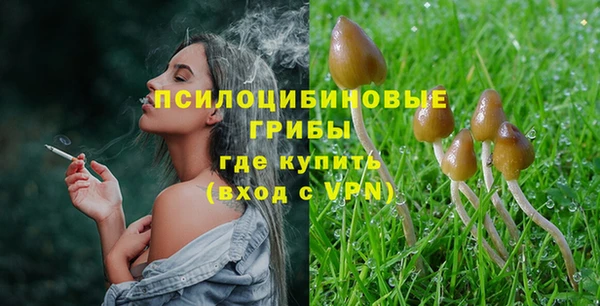 хмурый Горняк