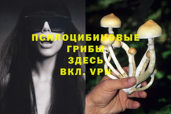 хмурый Горняк
