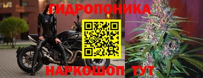 круглые Гусь-Хрустальный