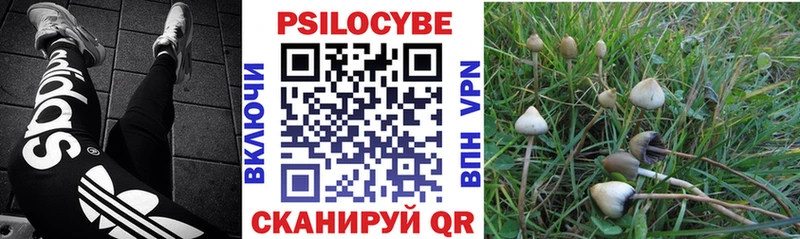 Галлюциногенные грибы MAGIC MUSHROOMS  нарко площадка как зайти  Назарово  что такое наркотик 