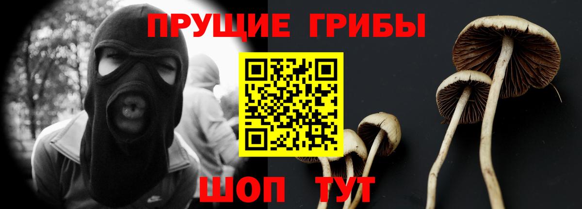 Назарово  Псилоцибиновые грибы прущие грибы  Псилоцибиновые грибы мицелий  хочу наркоту  Вход с VPN 